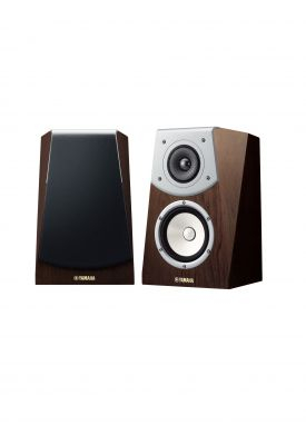 NS-B901 dark brown