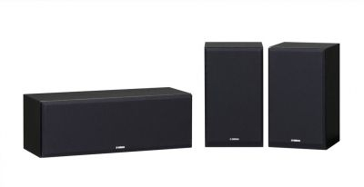 NS-P350