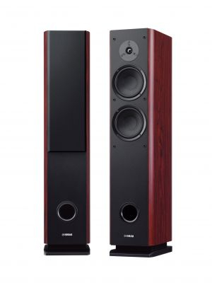 NS-F160 rosewood